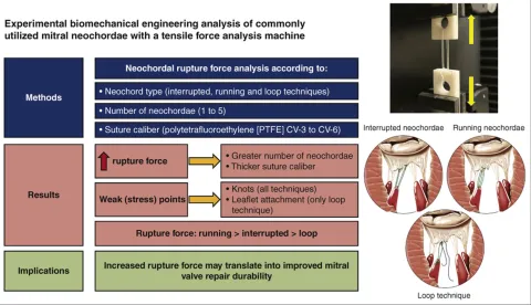  DOI: 10.1016/j.xjon.2021.07.040